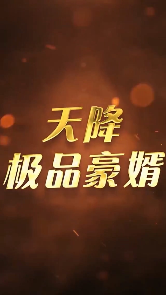 天降极品豪婿第110集