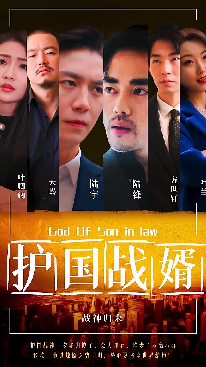 护国战婿第02集