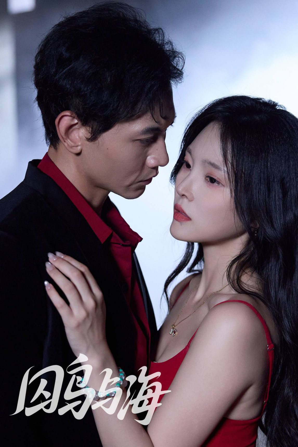 囚鸟与海(全集)