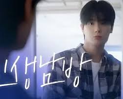 格纹衬衫 第二季(全集)