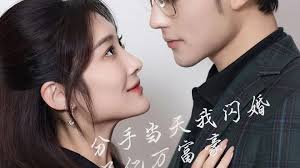 新版：分手当天，我闪婚了亿万富豪第30集