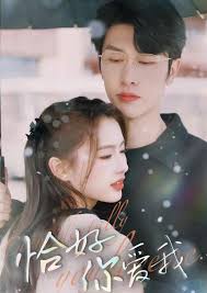 恰好你爱我第51集