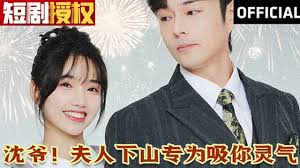 沈爷！夫人下山专为吸你灵气第03集