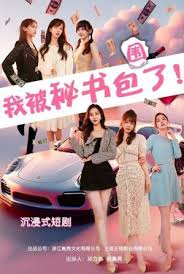 我被秘书包围了第02集