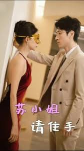 苏小姐请住手第01集