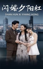 闪婚夕阳红第61集