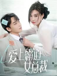 爱上霸道女总裁第02集