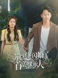 苏总您闪婚了首富继承人第03集