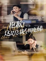 抱歉！这是总裁专用电梯第03集