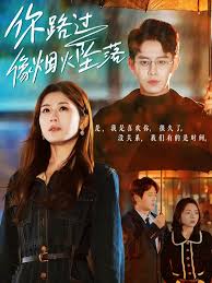 你路过像烟火坠落第21-44集(大结局)