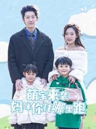 萌宝来袭妈咪你往哪里跑第01-30集