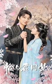 恰与君同梦第31-55集(大结局)