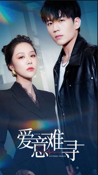 爱意难寻第21-40集(大结局)