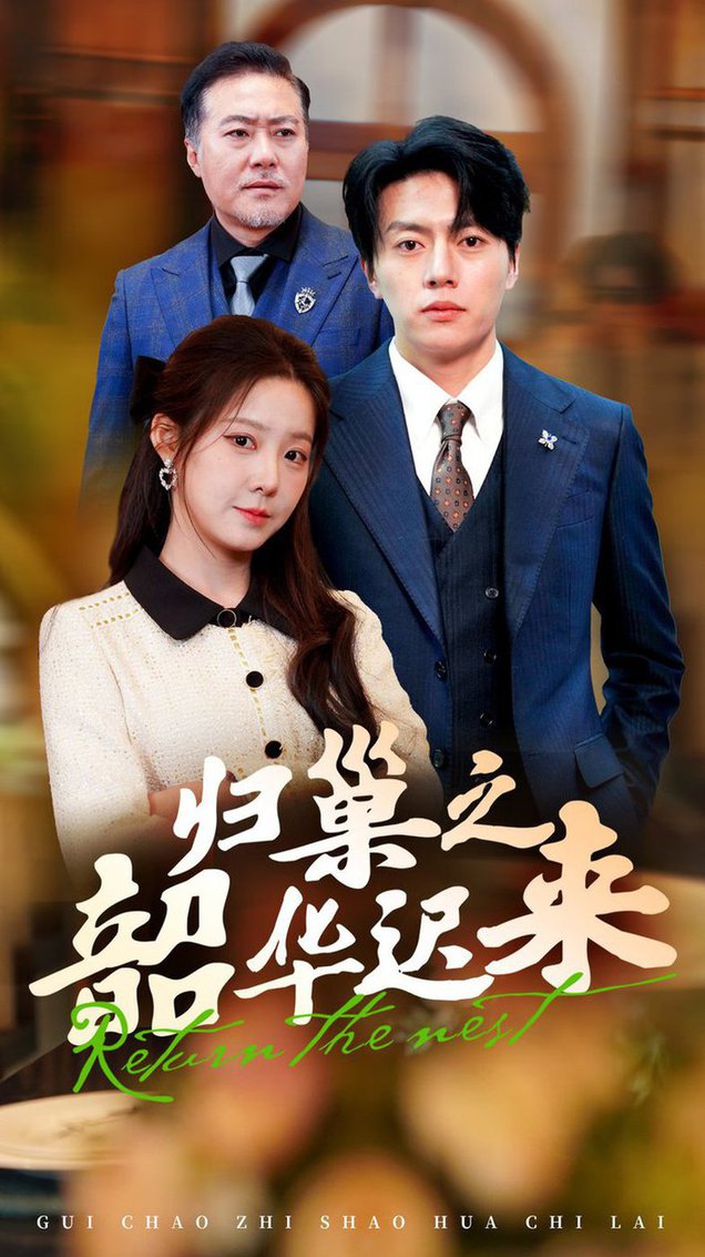 归巢之韶华迟来第31-62集(大结局)