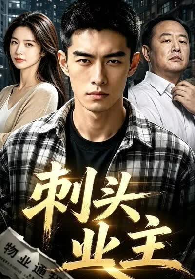 刺头业主(全集)