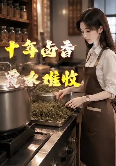十年卤香：覆水难收(全集)
