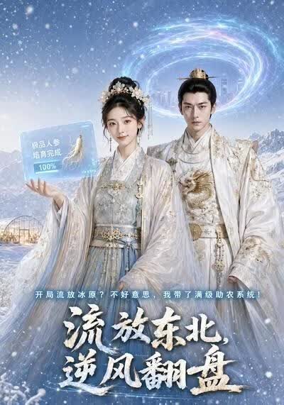 流放东北，逆风翻盘(全集)