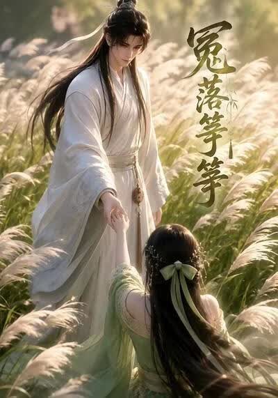 冤落筝筝(全集)