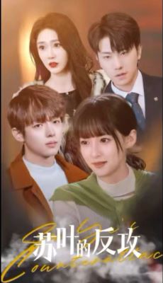苏叶的反攻全集 (上)(大结局)