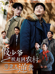 假少爷被赶回农村带妻儿逆袭第31-60集